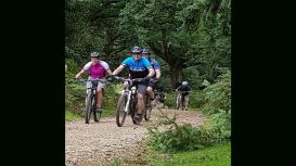 New Forest Mountain Biking