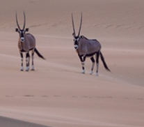 Namibia